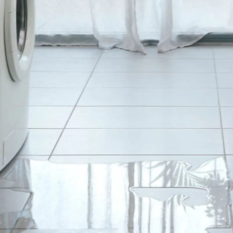 Appliance Leak Cleanup in Woodway, WA