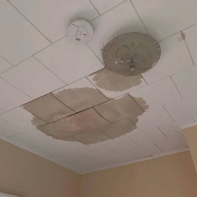 Ceiling Water Damage Repair in Woodway, WA