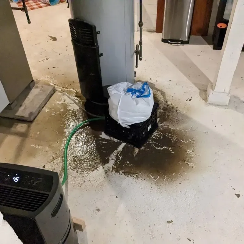 Sewage Backup Cleanup Service in Woodway, WA